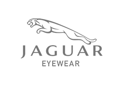 Jaguar glasses for sale in the Historic Third Ward, Milwaukee, Wisconsin