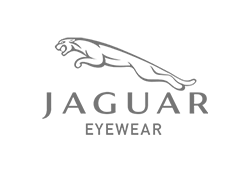Jaguar glasses Jaguar glasses for sale
