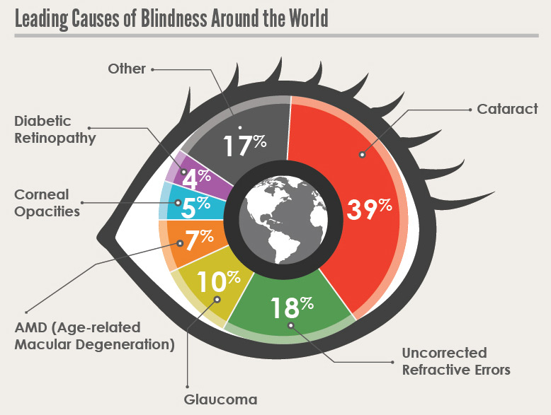 Leading causes of blindness